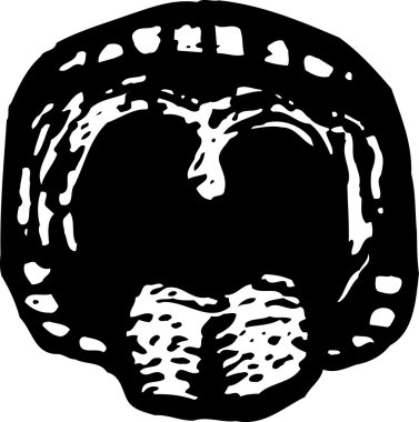 açık ağız, dişler ve dil