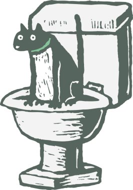 tuvalet üzerinde oturan kedi