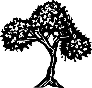 ağaç çizimi gravür