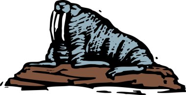 Mors gravür çizimi