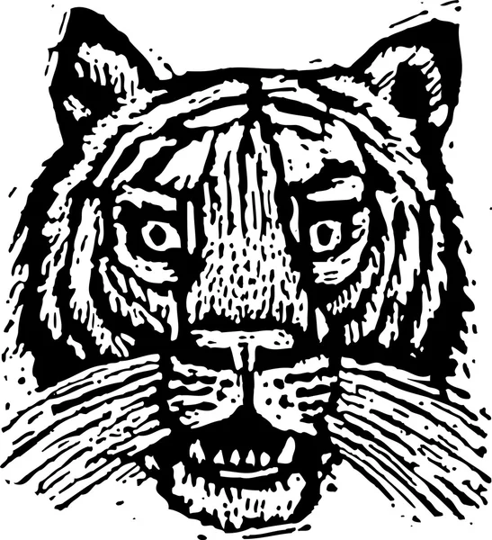 老虎的病媒图解 — 图库矢量图片