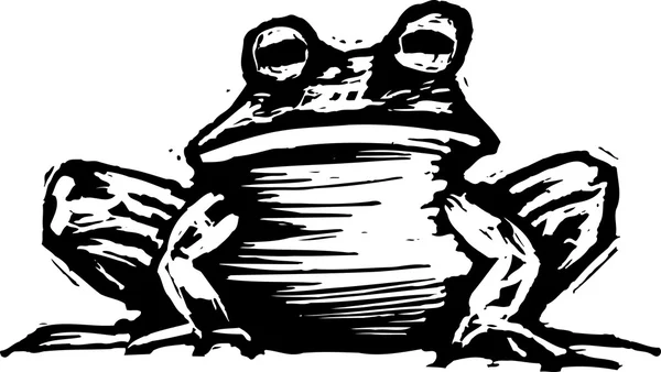 Illustratie van toad — Stockvector