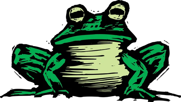 Illustratie van toad — Stockvector