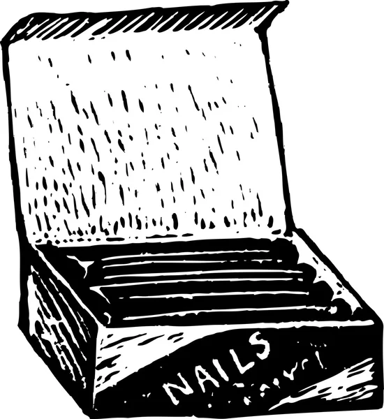 Schachtel mit Nägeln — Stockvektor