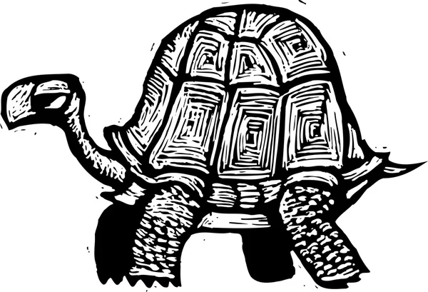 Vektorillustration der Schildkröte — Stockvektor