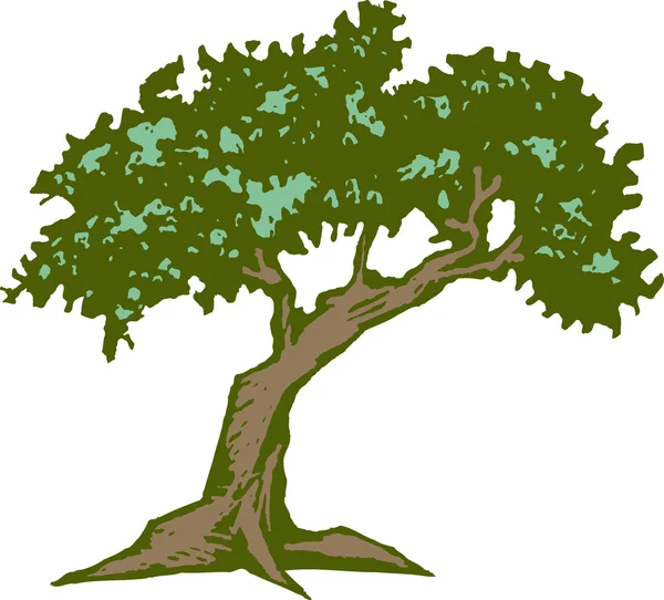 Woodcut Ilustración del árbol — Vector de stock