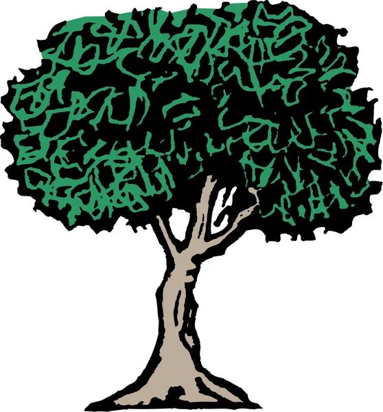 Woodcut Illustration of Tree — Stock Vector