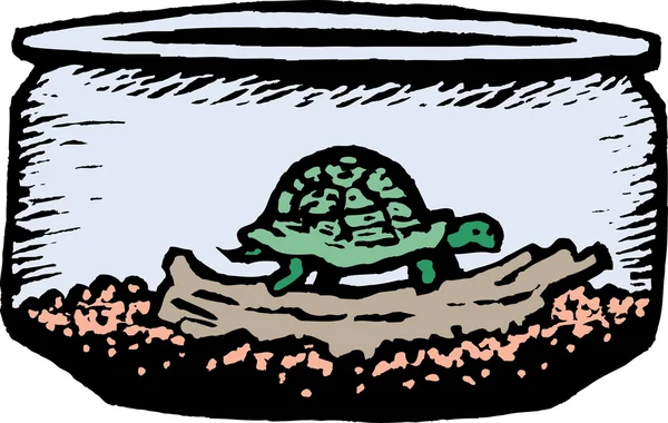 Houtsnede illustratie schildpad in terrarium kom — Stockvector