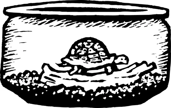 Houtsnede illustratie schildpad in terrarium kom — Stockvector
