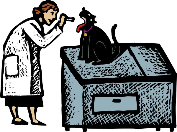 Dřevoryt ilustrace veterinární kontrole Cat — Stockový vektor