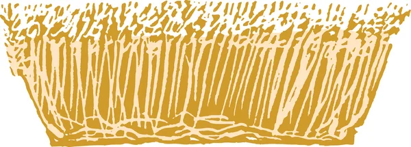 Деревянная иллюстрация пшеницы — стоковый вектор