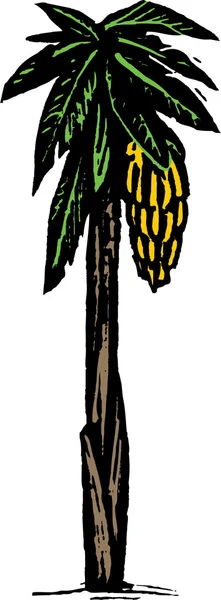 Woodcut Ilustração de Banana Tree — Vetor de Stock