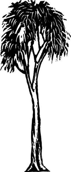 Woodcut Ilustración del árbol de goma — Vector de stock