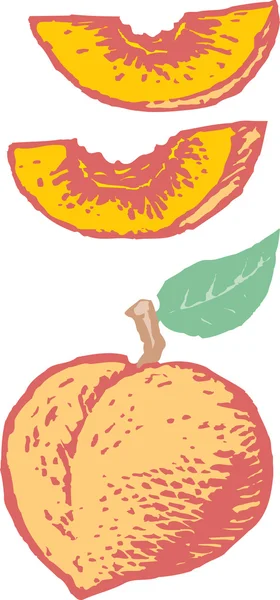 Woodcut Illustration of Peach — Stock Vector