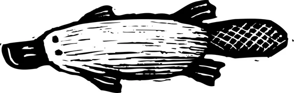 Illustrazione Woodcut di Platypus — Vettoriale Stock