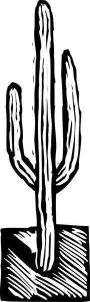 Woodcut Illustration of Saguaro Cactus — Stock Vector