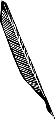 tüy kalem vektör çizim