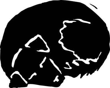 köpek uyku illüstrasyon