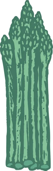 Illustrazione degli asparagi — Vettoriale Stock