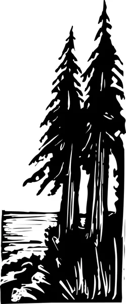 Illustration vectorielle de Big Sur — Image vectorielle