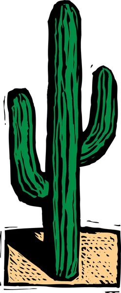 Ilustración de Cactus — Vector de stock