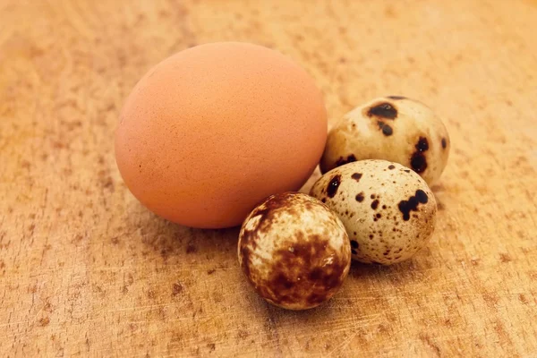 ニワトリおよびウズラの卵 — ストック写真