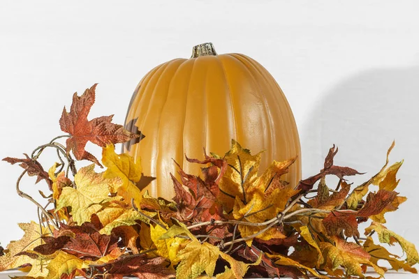 Pumpkin Leaves — Stock Photo, Image