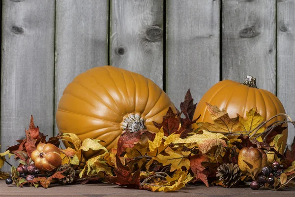 Pumpkin Harvest 6 — Stock Photo, Image