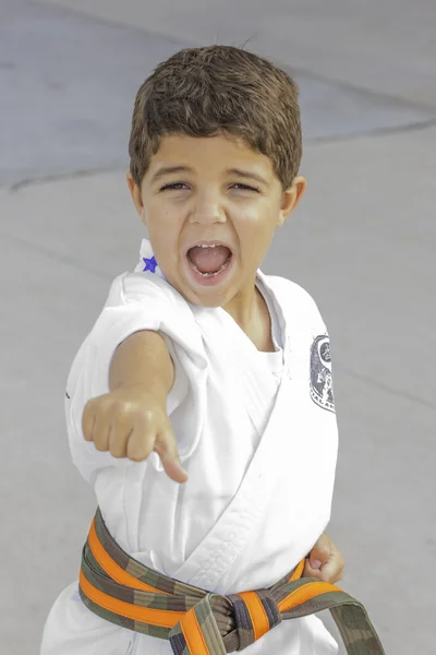 Karate Punch 2 — Stock Photo, Image