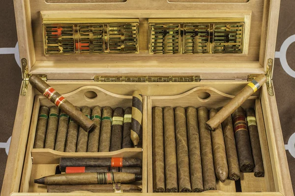 大雪茄盒 3 — 图库照片