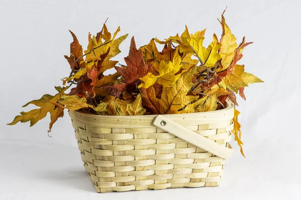 Hojas de caída de cesta de madera — Foto de Stock