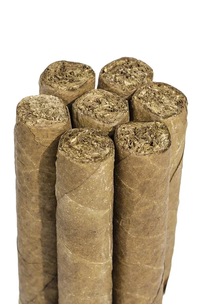 Cigar Bundle — Stock Photo, Image