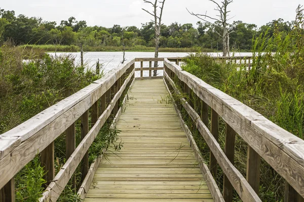 Pontile di pesca — Foto Stock