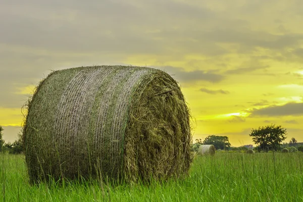 Rodada de Hay bale — Fotografia de Stock