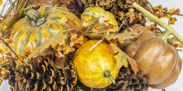 Fall Harvest Pumpkin Scene — Stock Photo, Image
