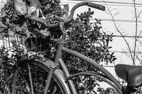 흑백 빈티지 자전거 — 스톡 사진