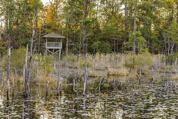 Lake and Forest Hunting Blind. — Stock Photo, Image