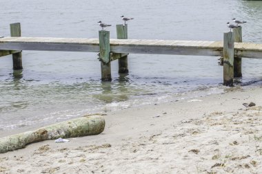 Beach iskelesinden