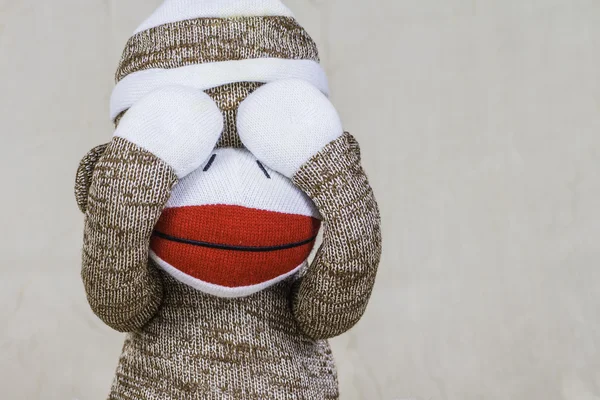 Sock Monkey Layout — Stock Photo, Image