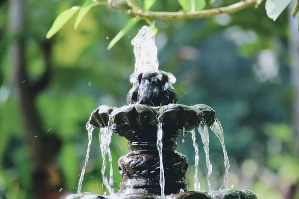 Caída Agua Jardín Piedra —  Fotos de Stock