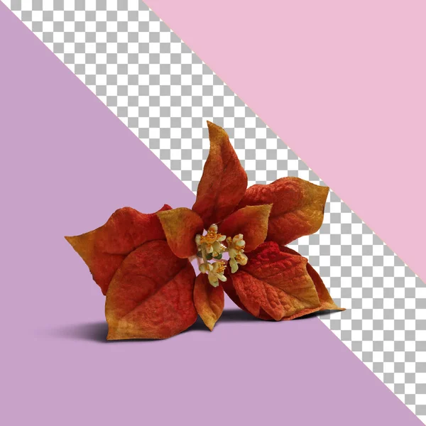 Μεμονωμένο Κόκκινο Ψεύτικο Λουλούδι Διαφανές Φόντο — Φωτογραφία Αρχείου