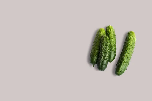 Top View Fresh Cucumbers Isolated Grey Background Suitable Your Design — Stock Photo, Image