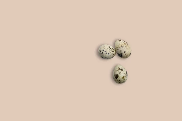 Beyaz Arka Planda Izole Edilmiş Bıldırcın Yumurtaları Metin Için Kopyalama — Stok fotoğraf