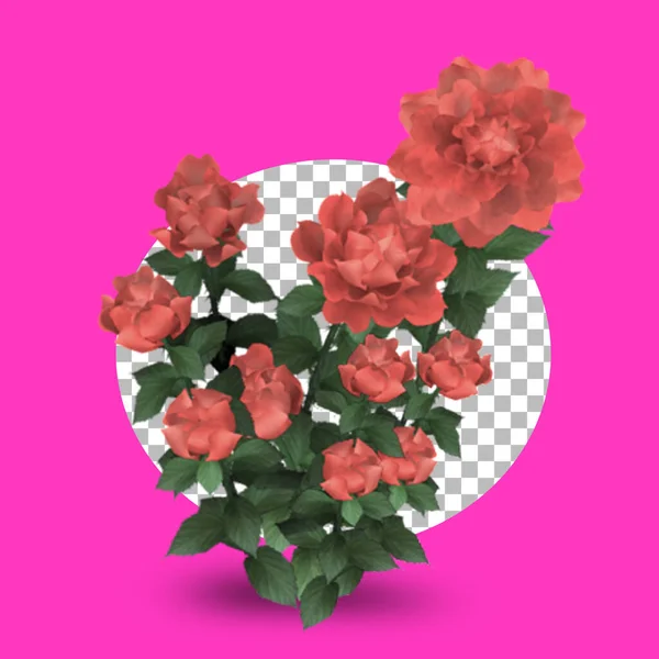 Κόκκινο Τριαντάφυλλο Λουλούδι Απομονώνονται Διαφανές Φόντο — Φωτογραφία Αρχείου