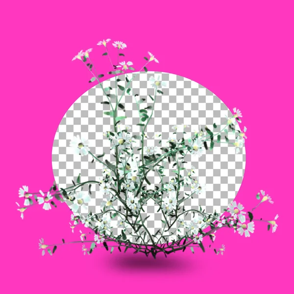 Şeffaflık Üzerine Izole Edilmiş Boyutlu Daisy Çiçeği — Stok fotoğraf