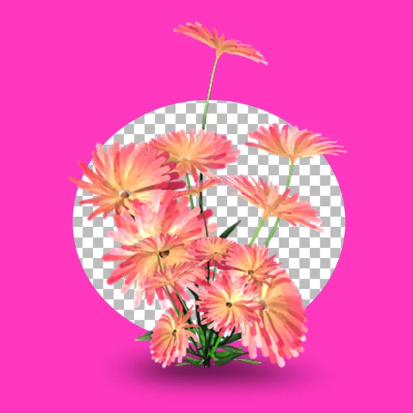 Dahlia Kwiat Izolowany Przezroczystości — Zdjęcie stockowe