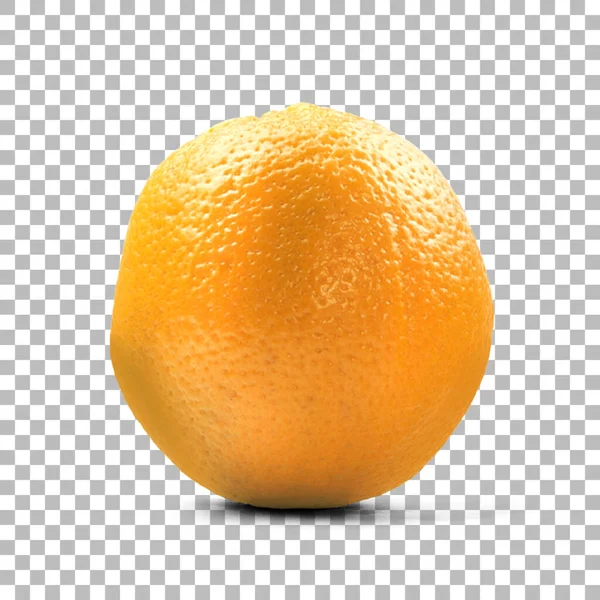 Frische Orange Für Ihr Vermögensfruchtdesign — Stockfoto