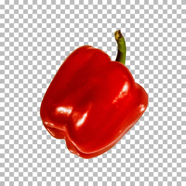 Süße Rote Paprika Isoliert Geeignet Für Design Asset — Stockfoto