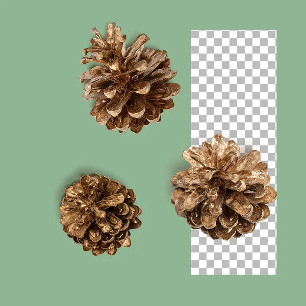 Set Golden Cones Various Coniferous Trees Isolated — Stock Photo, Image