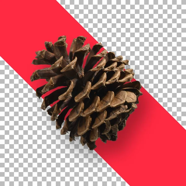 Kerstversiering Van Dennenappel Geïsoleerd — Stockfoto